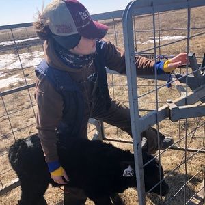 Meet your Posher, Grace